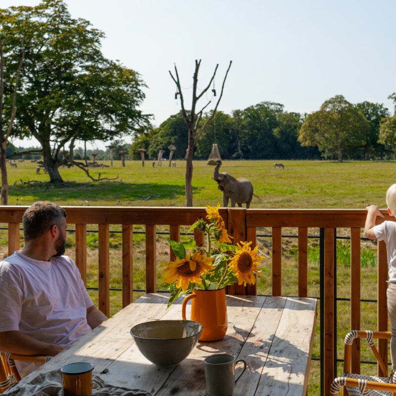 Velkomstvideo Knuthenborg Camp, familie sidder på terrasse og ser på giraf